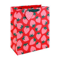 Eurowrap 6 Pack Gift Bag Neon Strawberry Large