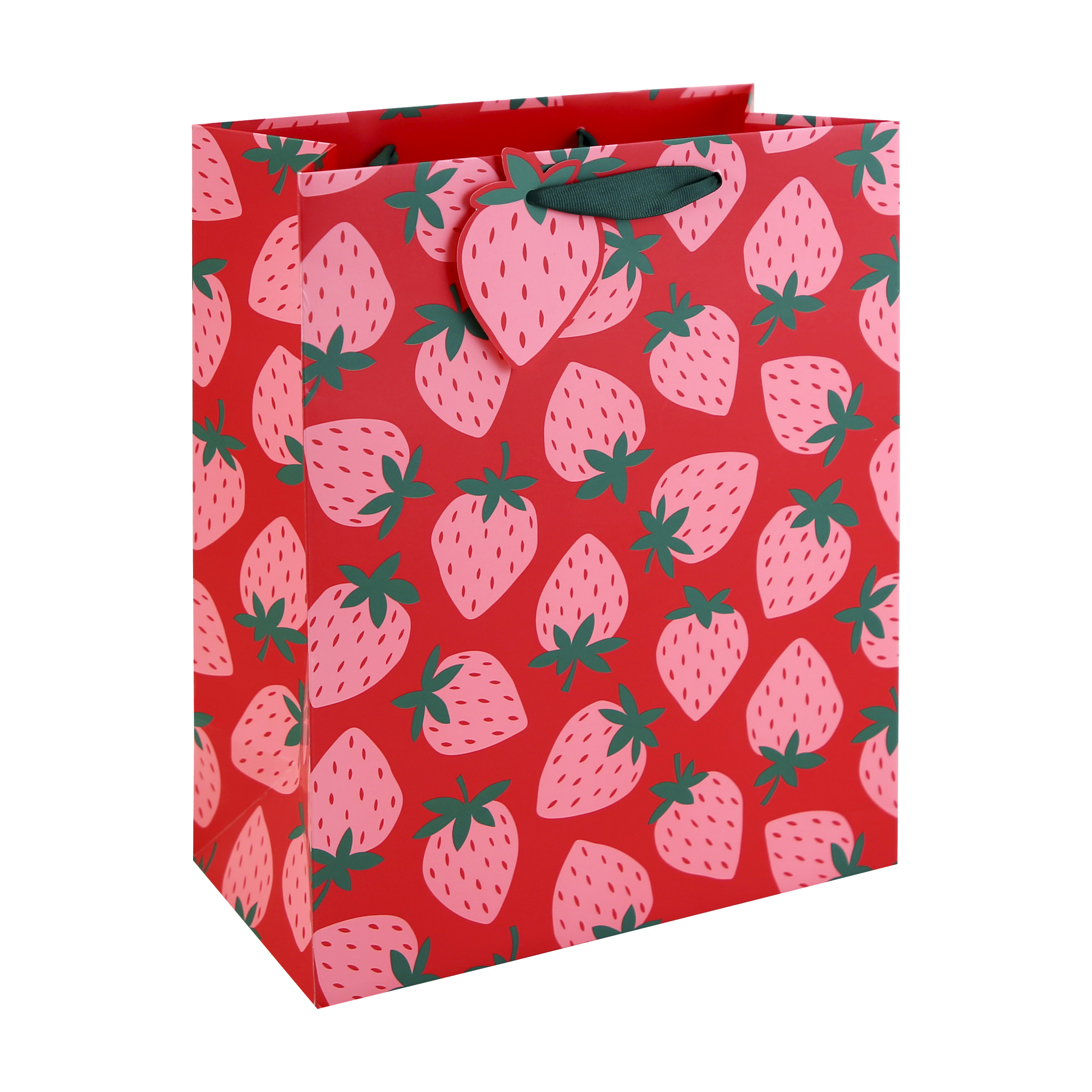 Eurowrap 6 Pack Gift Bag Neon Strawberry Large