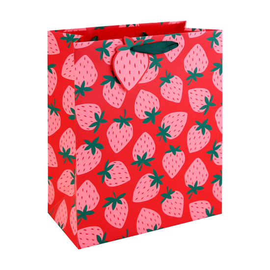 Eurowrap 6 Pack Gift Bag Neon Strawberry Large