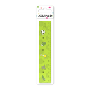 Eurowrap 12 Pack Rulers Assorted
