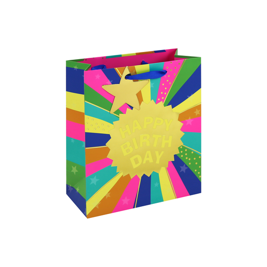Eurowrap 6 Pack Gift Bag Neon Birthday Medium