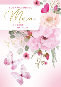 Simon Elvin C50 Birthday Mum 6pk
