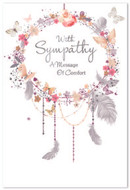 Simon Elvin C50 Sympathy Assortment 12x6pk