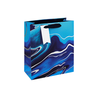 Eurowrap 6 Pack Gift Bag Blue Marble Medium