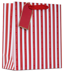 Partisan 6 Pack Gift Bag Christmas Stripe Medium