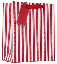 Partisan 6 Pack Gift Bag Christmas Stripe Medium