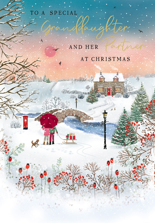 Regal C75 Christmas Granddaughter & Partner 6pk