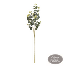 Eleganza Eucalyptus Mid Green Frosted Stems