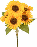 Eleganza Sunflower Bush