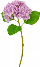 Eleganza Small Head Hydrangea Pastel Lilac