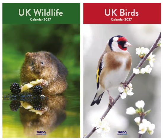 Calendar Midi UK Birds & Wildlife 2027 12pk