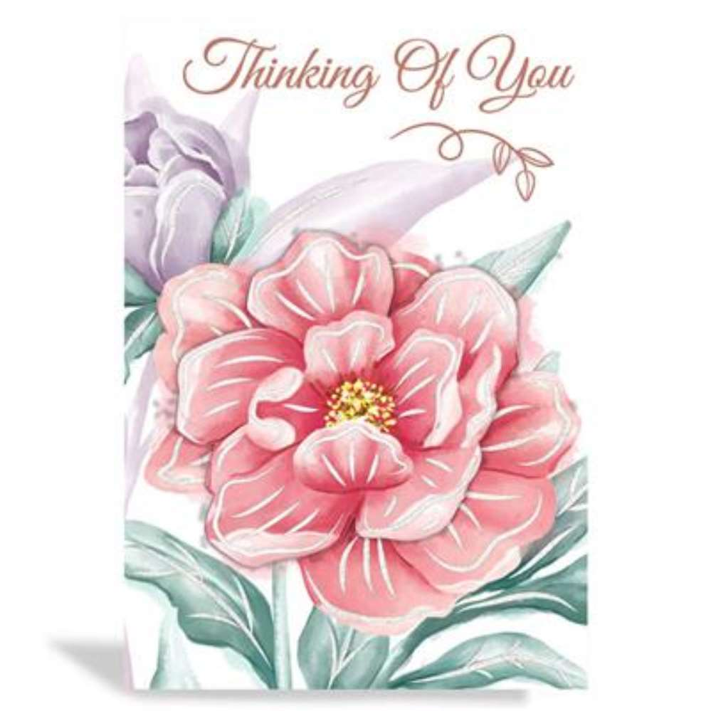 Prelude C50 Thinking Of You 6pk