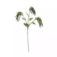 Catkin Spray Green