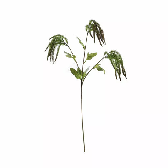 Catkin Spray Green