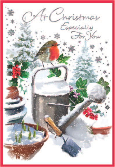 Simon Elvin 6 Pack Cards C50 Christmas Open