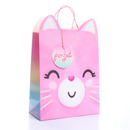 Tiger Feet 6 Pack Gift Bag Cat Large