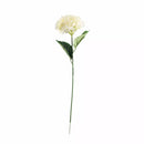 Hydrangea Cream