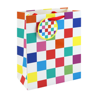 Eurowrap 6 Pack Gift Bag Neon Checkerboard Large
