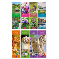 Tallon Tallon 32-pack assorted slim calendars with colorful monthly pages and compact design for organizing and scheduling.