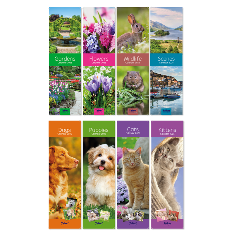 Tallon Tallon 32-pack assorted slim calendars with colorful monthly pages and compact design for organizing and scheduling.