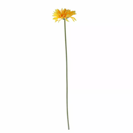 Gerbera Yellow