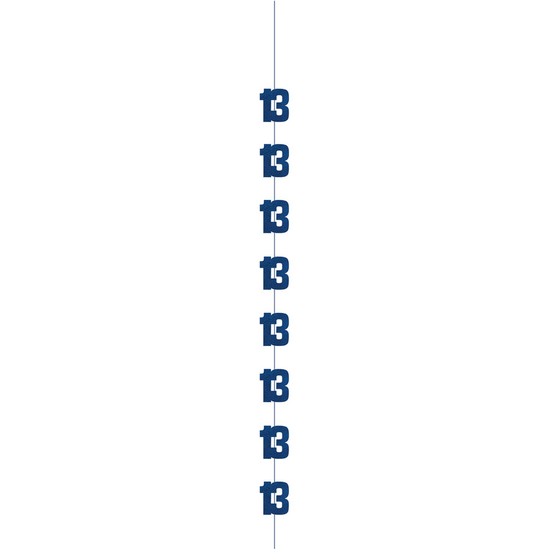 5ft Hanging D cor Age 13 Glitz Blue