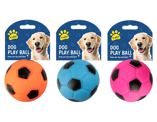 Dog Play Ball