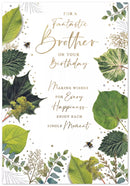 Simon Elvin C90 Birthday Brother 6pk
