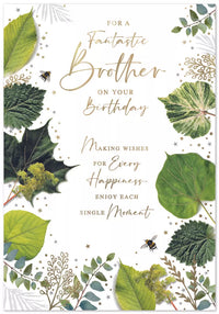 Simon Elvin C90 Birthday Brother 6pk