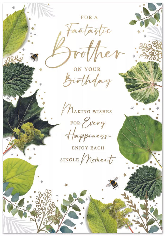 Simon Elvin C90 Birthday Brother 6pk