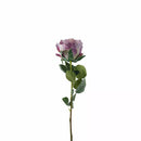 Garden Rose Vintage Lilac