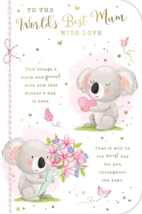 Prelude C75 Mother's Day Mum 6pk
