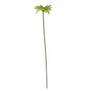 Gerbera Green