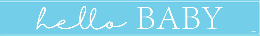 Unique Banner Hello Baby Blue 9ft