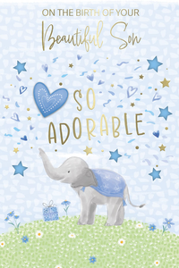 Prelude 6 Pack Cards C75 Everyday New Born Cute