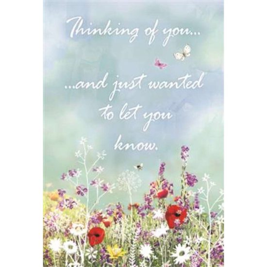 Simon Elvin C50 Thinking Of You 6pk