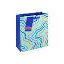 Eurowrap 6 Pack Gift Bag Neon Wave Medium