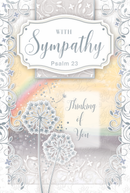 Xpress Yourself C75 Sympathy 6pk
