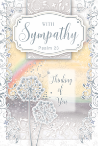 Xpress Yourself C75 Sympathy 6pk
