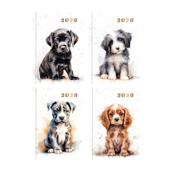 Diary Pocket WTV Watercolour Dogs 2027 24pk
