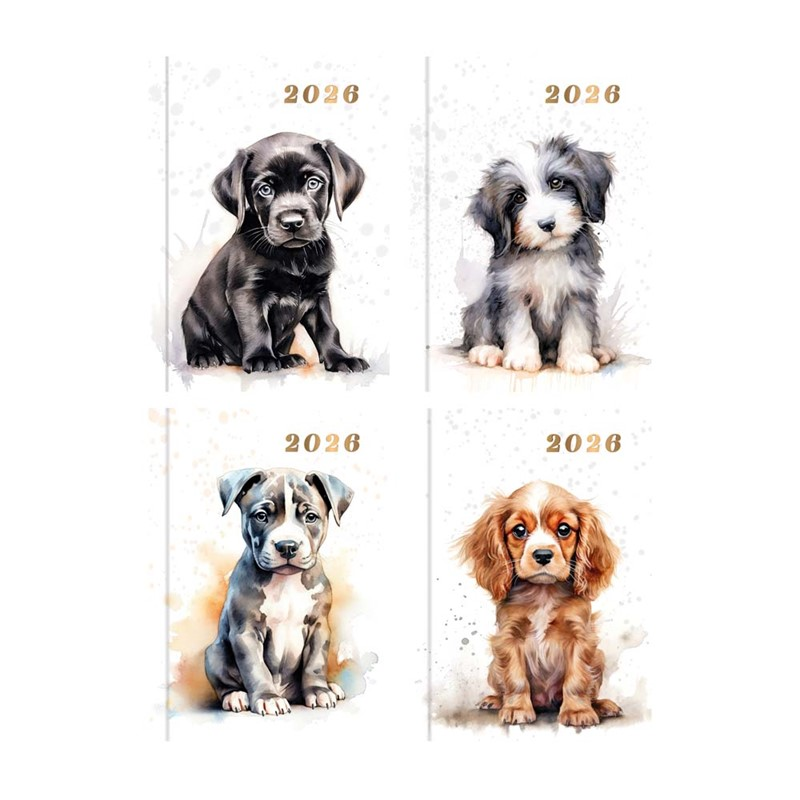 Diary Pocket WTV Watercolour Dogs 2027 24pk