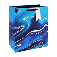 Eurowrap 6 Pack Gift Bag Blue Marble Large
