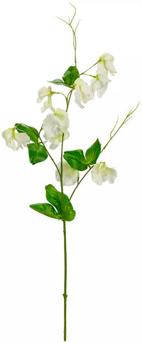 Eleganza Sweet Pea Spray White