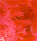Eleganza Red Mixed Feathers 50g
