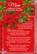 Xpress Yourself Memorial Christmas Mum 6pk
