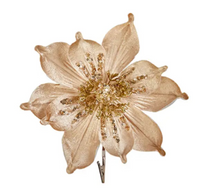 Davies Products Velvet Magnolia Champagne 23cm
