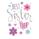 Simon Elvin C50 Birthday Sister 6pk