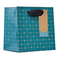 Partisan 6 Pack Gift Bag Symmetry Extra Small