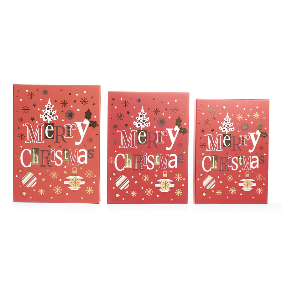Tulip Set of 3 Gift Boxes Xmas Text Large
