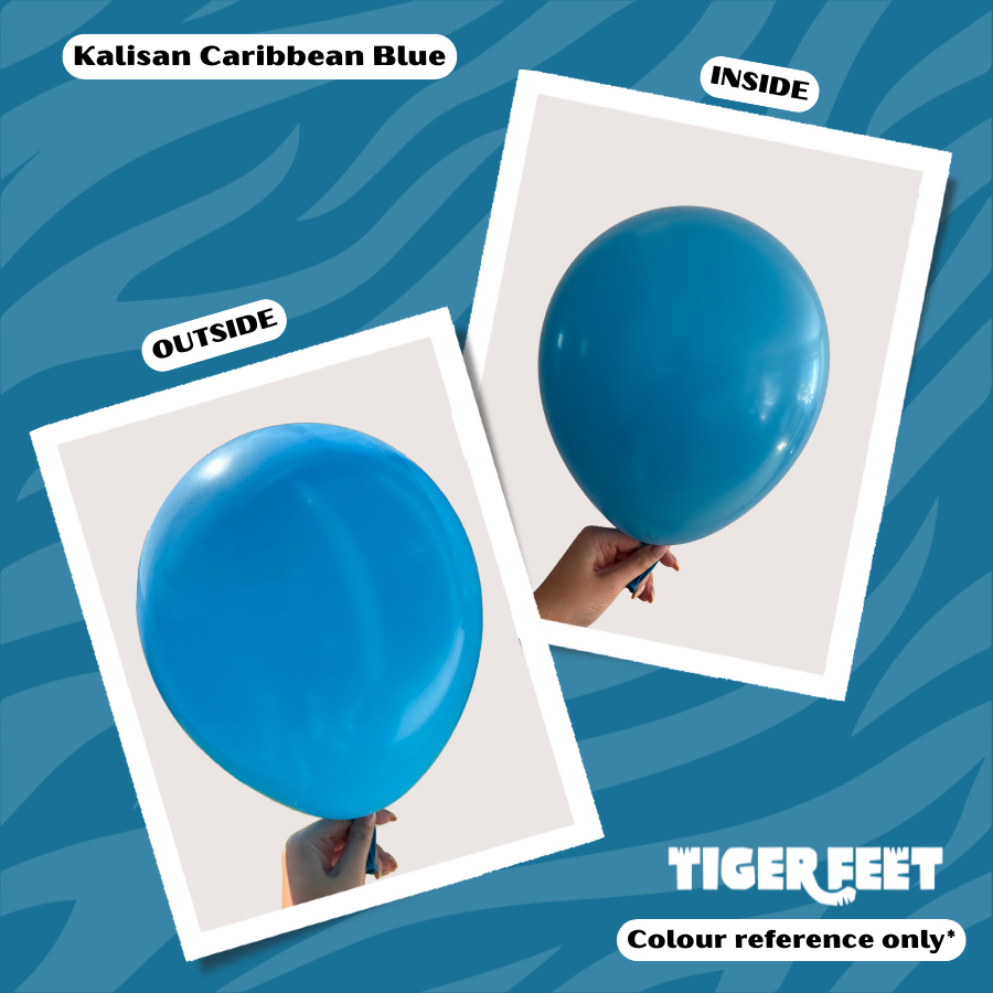 Kalisan Standard Caribbean Blue 36" Latex 2pk